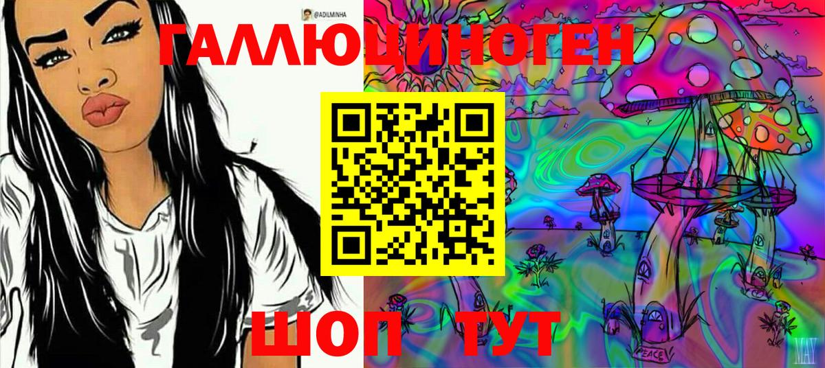 Псилоцибиновые грибы Cubensis  Будённовск 