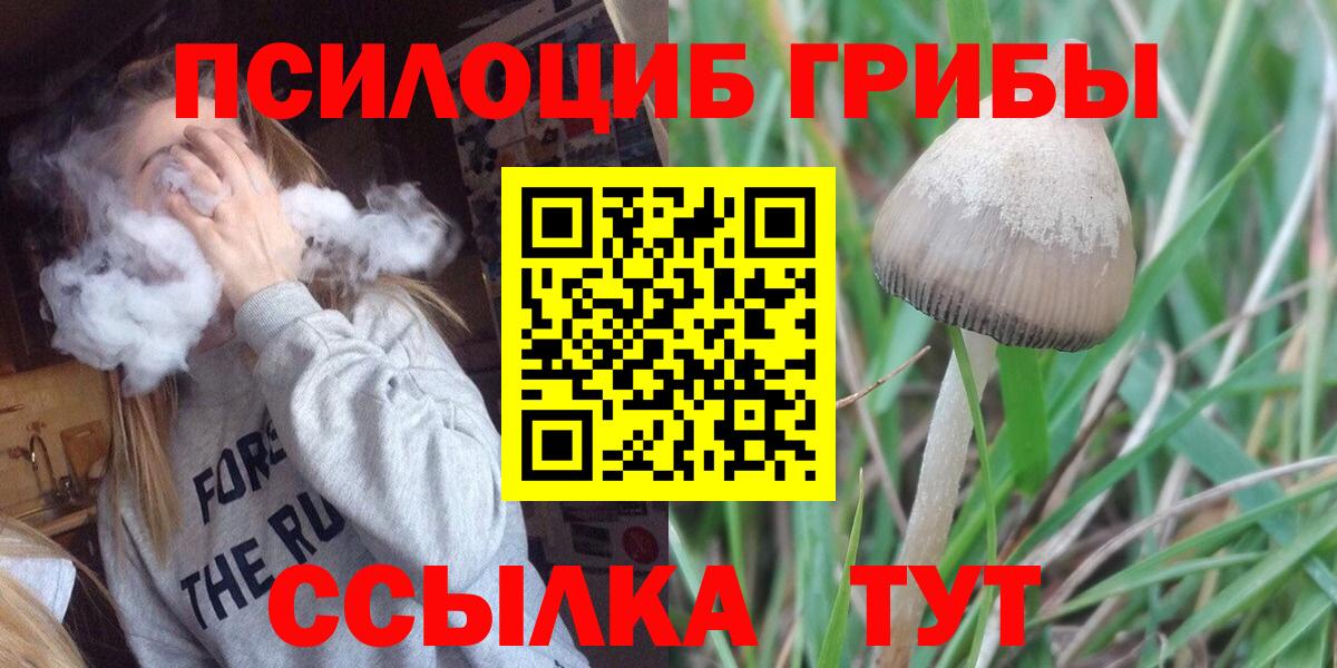 магазин  наркотиков  Псилоцибиновые грибы мухоморы  Вход с VPN  Галлюциногенные грибы мухоморы  Будённовск 